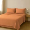 Sabanas lisas 1 plaza 1/2 (Brescia)